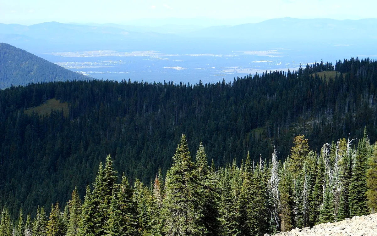 Forested North Idaho mountainsides looking out over the Rathdrum Prairie and distant ranges