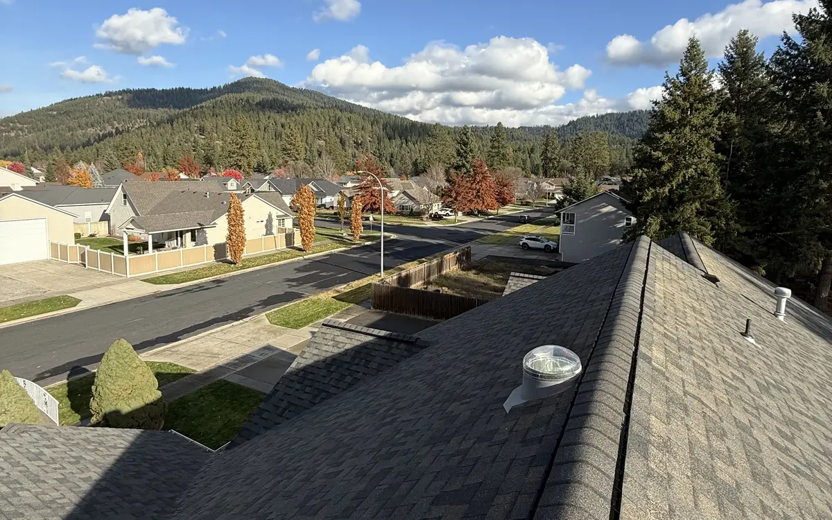 Forested hills over a neighborhood, seen from the ridge of a shingle roof with a tubular skylight